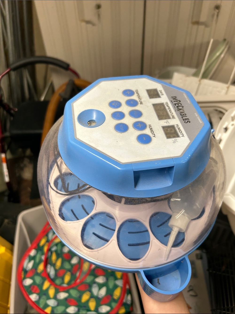 Blue Electric Egg Incubator - Clear Dome Hatcher